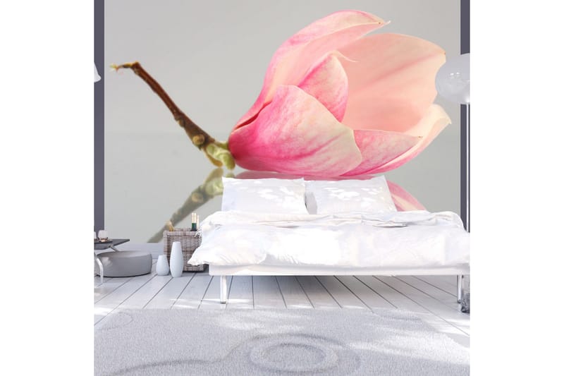 Fototapet En Ensom Magnolia Blomst 400x309, Artgeist sp. z o. o.