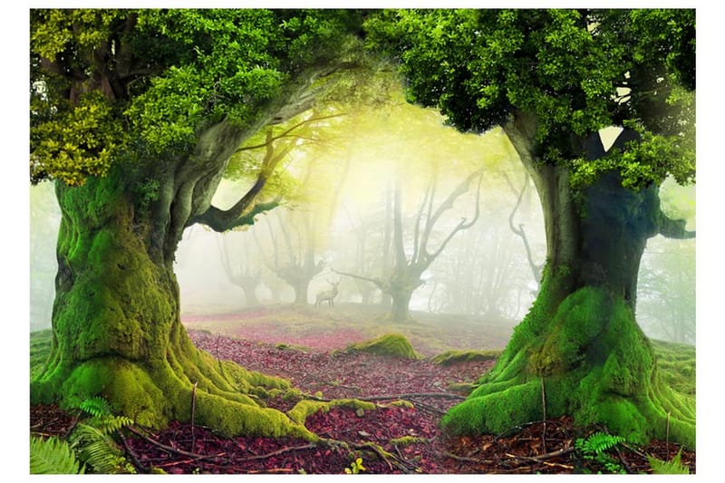 Fototapet Enchanted Forest 300x210 - Artgeist sp. z o. o. - Fototapeter