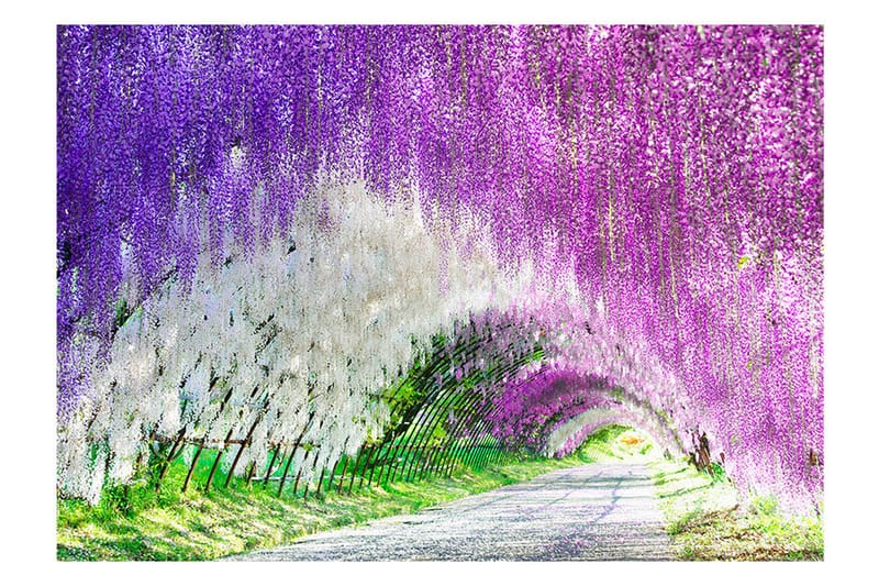 Fototapet Enchanted Garden 250x175, Artgeist sp. z o. o.