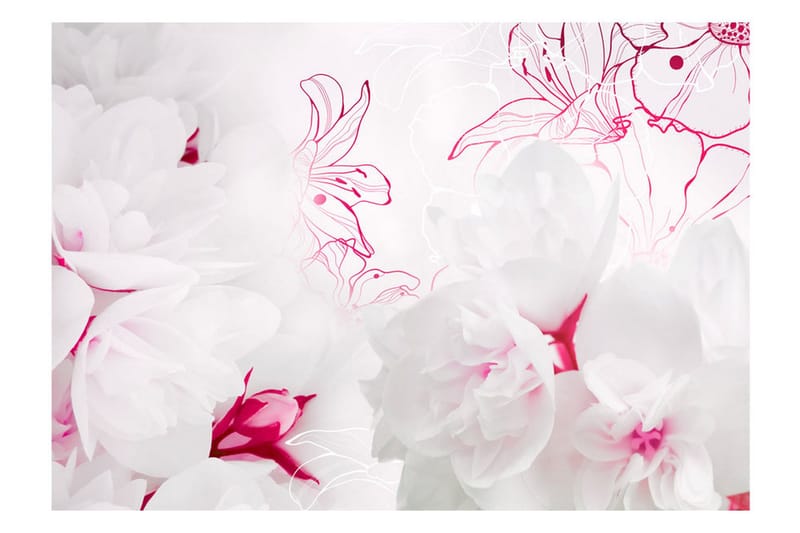 Fototapet Enveloped In White 250x175 - Artgeist sp. z o. o. - Innredning - Veggdekorasjon - Tapeter - Fototapeter