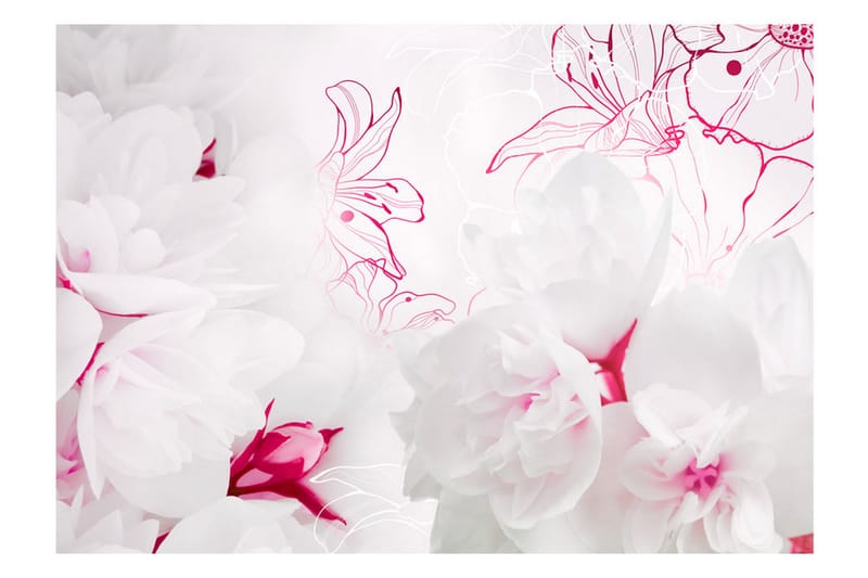 Fototapet Enveloped In White 400x280 - Artgeist sp. z o. o. - Innredning - Veggdekorasjon - Tapeter - Fototapeter