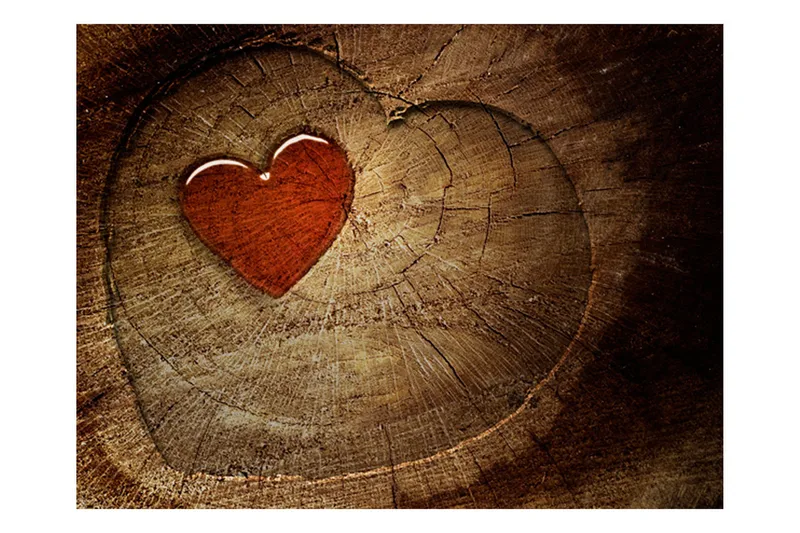 Fototapet Eternal Love 250x193 - Artgeist sp. z o. o. - Innredning - Veggdekorasjon - Tapeter - Fototapeter