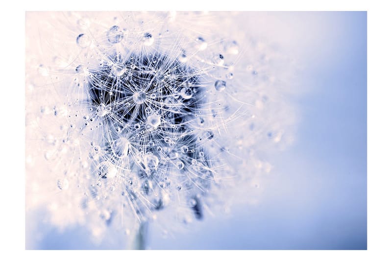 Fototapet Etheric Morning 200x140 - Artgeist sp. z o. o. - Innredning - Veggdekorasjon - Tapeter - Fototapeter