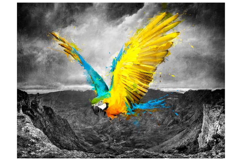 Fototapet Exotic Parrot 300x231 - Artgeist sp. z o. o. - Fototapeter