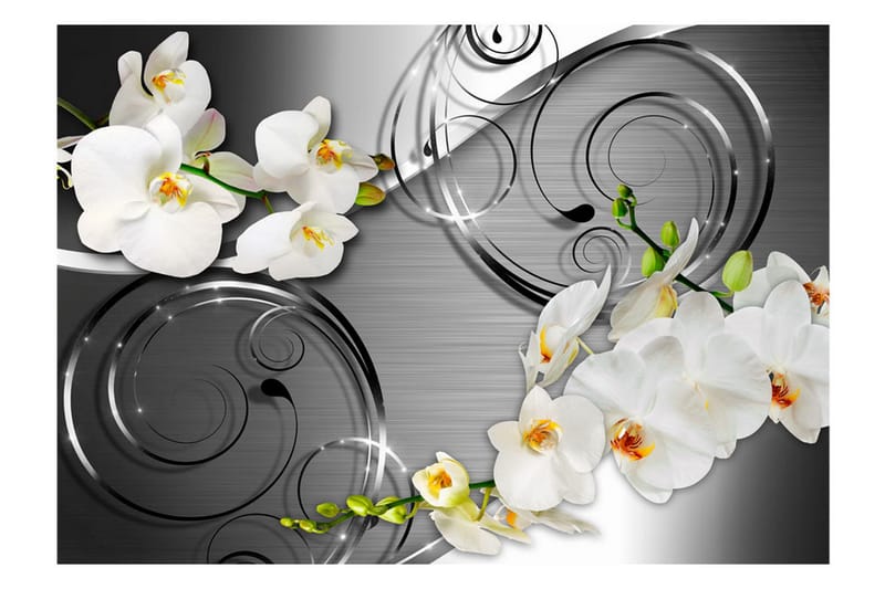 Fototapet Expectation 100x70 - Artgeist sp. z o. o. - Innredning - Veggdekorasjon - Tapeter - Fototapeter