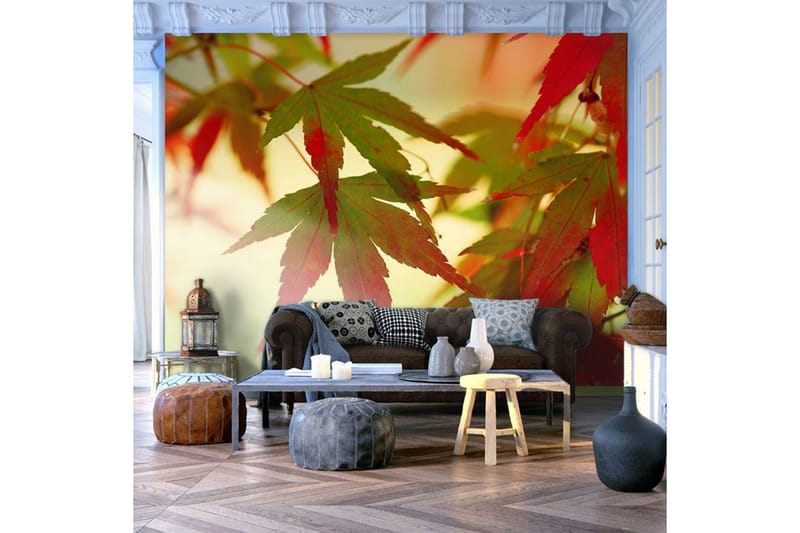 Fototapet Fargeglade Blad 350x270 - Artgeist sp. z o. o. - Innredning - Veggdekorasjon - Tapeter - Fototapeter