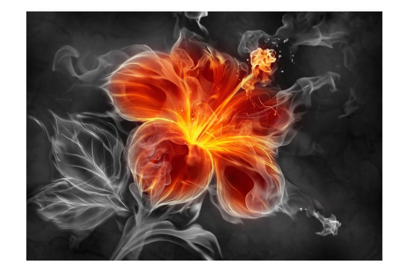 Fototapet Fiery Flower Inside The Smoke 300x210 - Artgeist sp. z o. o. - Fototapeter