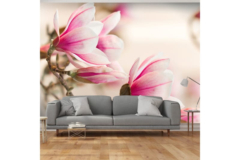 Fototapet Filial Of Magnolia Tree 250x193 - Artgeist sp. z o. o. - Innredning - Veggdekorasjon - Tapeter - Fototapeter