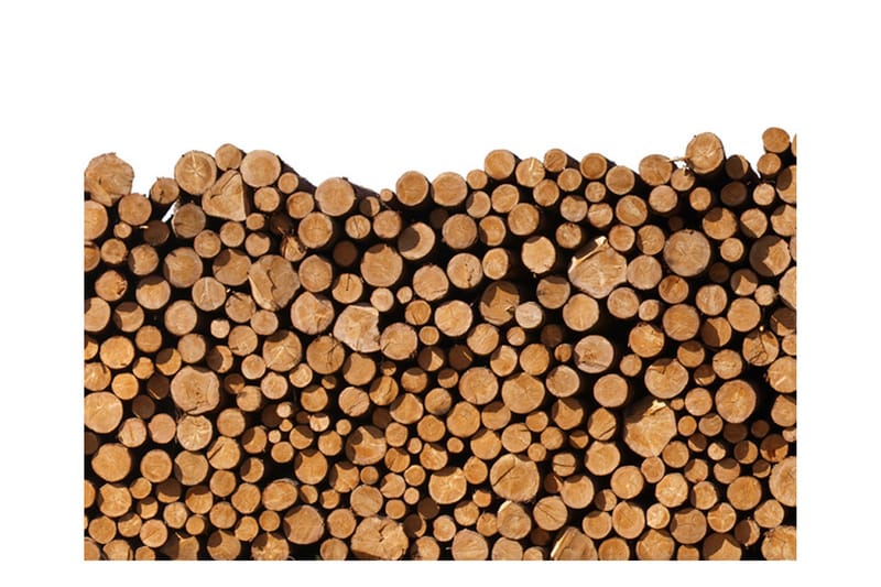 Fototapet Firewood 250x193 - Artgeist sp. z o. o. - Innredning - Veggdekorasjon - Tapeter - Fototapeter