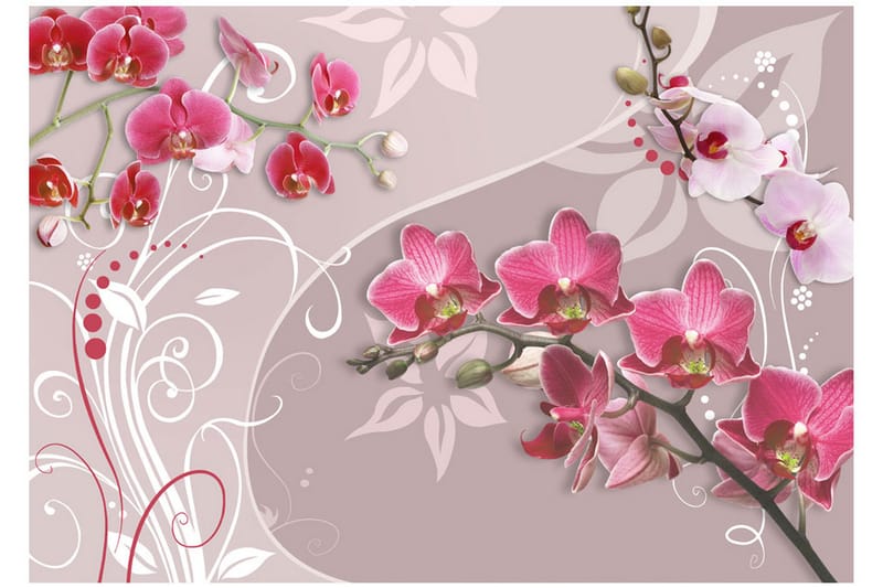 Fototapet Flight Of Pink Orchids 350x245 - Artgeist sp. z o. o. - Innredning - Veggdekorasjon - Tapeter - Fototapeter