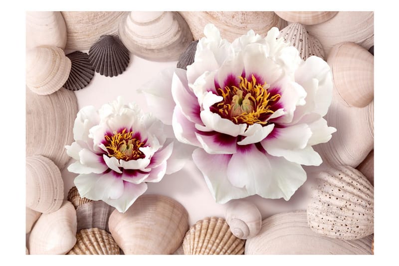 Fototapet Flowers And Shells 100x70 - Artgeist sp. z o. o. - Innredning - Veggdekorasjon - Tapeter - Fototapeter