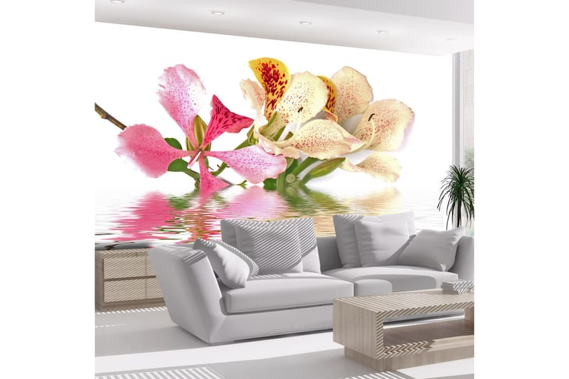 Fototapet Flowers Orchid Tree Bauhinia 350x270 - Artgeist sp. z o. o. - Innredning - Veggdekorasjon - Tapeter - Fototapeter