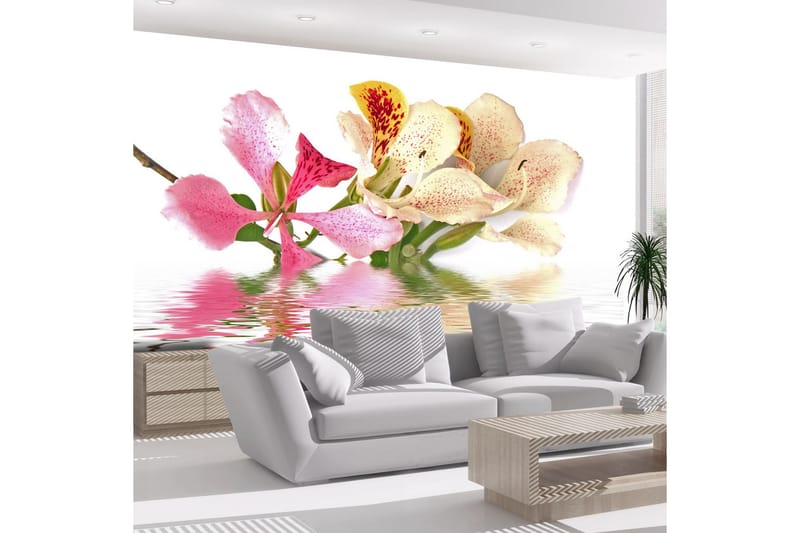 Fototapet Flowers Orchid Tree Bauhinia 350x270 - Artgeist sp. z o. o. - Innredning - Veggdekorasjon - Tapeter - Fototapeter