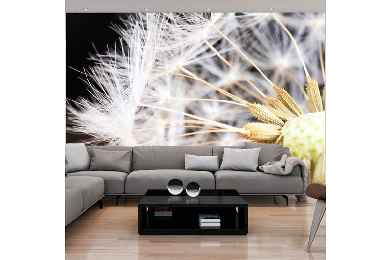 Fototapet Fluffy Dandelion 300x210 - Artgeist sp. z o. o. - Innredning - Veggdekorasjon - Tapeter - Fototapeter