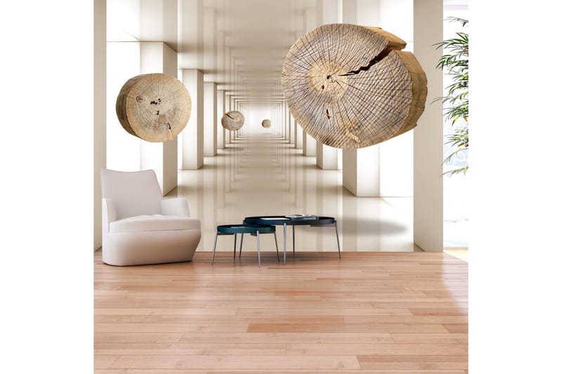 Fototapet Flying Discs Of Wood 200x140 - Artgeist sp. z o. o. - Innredning - Veggdekorasjon - Tapeter - Fototapeter