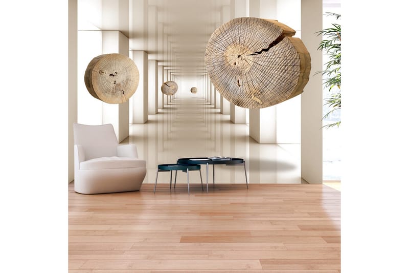 Fototapet Flying Discs Of Wood 250x175, Artgeist sp. z o. o.