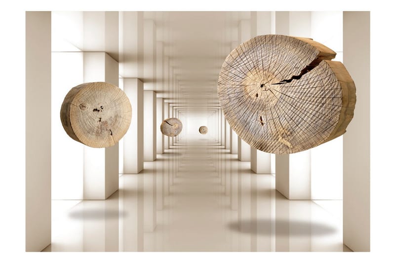 Fototapet Flying Discs Of Wood 250x175 - Artgeist sp. z o. o. - Innredning - Veggdekorasjon - Tapeter - Fototapeter