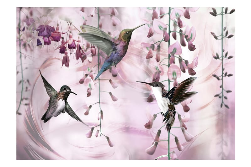 Fototapet Flying Hummingbirds Pink 300x210 - Fototapeter