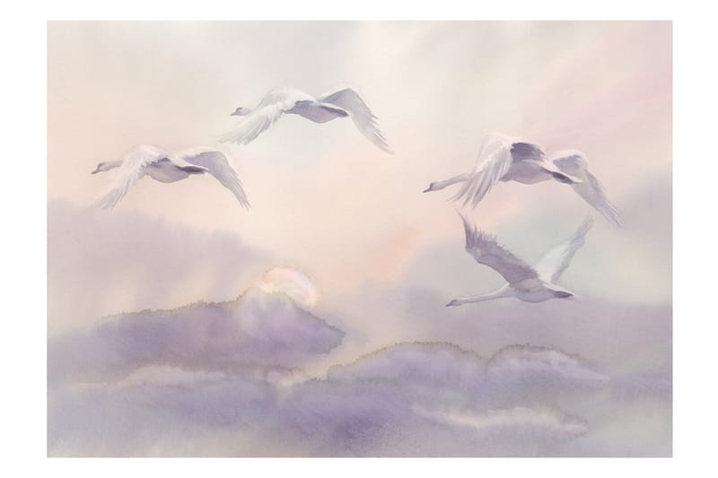 Fototapet Flying Swans 250x175 - Fototapeter