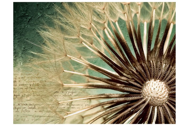 Fototapet Focus On Dandelion 200x154 - Artgeist sp. z o. o. - Innredning - Veggdekorasjon - Tapeter - Fototapeter