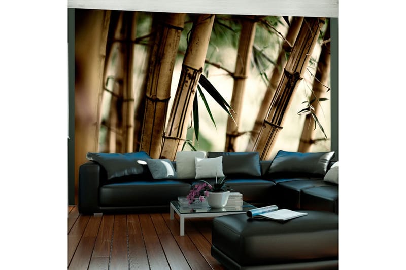 Fototapet Fog And Bamboo Forest 200x154 - Artgeist sp. z o. o. - Innredning - Veggdekorasjon - Tapeter - Fototapeter