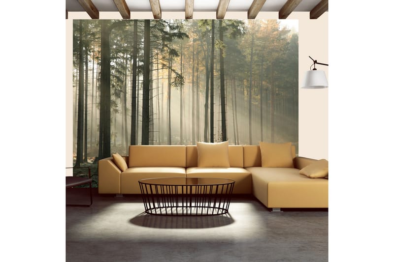 Fototapet Foggy November Morning 350x270 - Artgeist sp. z o. o. - Innredning - Veggdekorasjon - Tapeter - Fototapeter