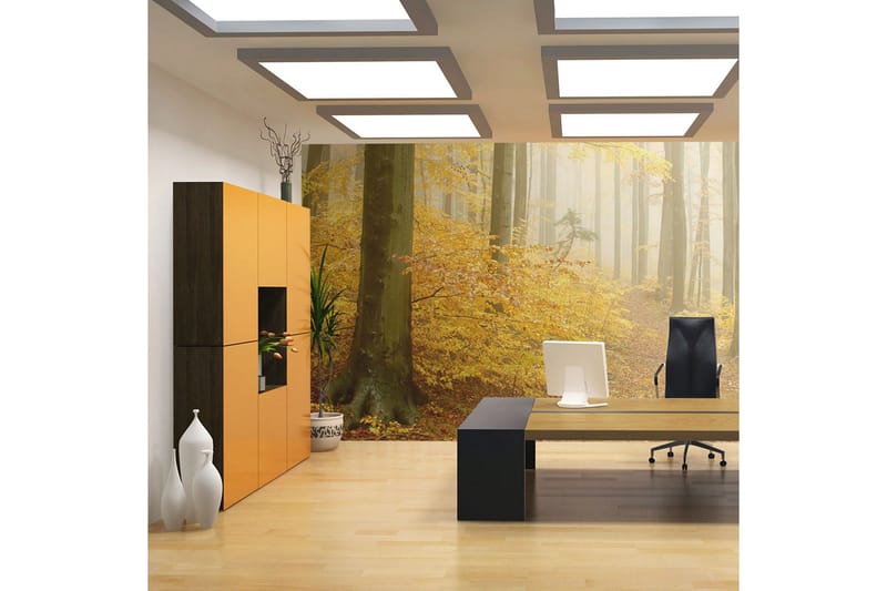 Fototapet Forest Autumn 200x154 - Artgeist sp. z o. o. - Innredning - Veggdekorasjon - Tapeter - Fototapeter