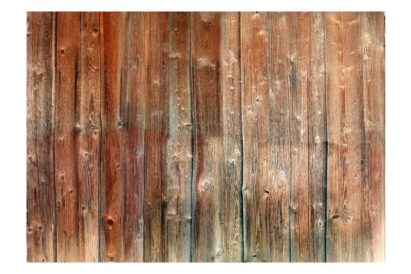 Fototapet Forest Cottage 400x280 - Artgeist sp. z o. o. - Innredning - Veggdekorasjon - Tapeter - Fototapeter