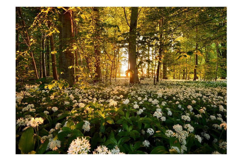 Fototapet Forest Flora 350x245 - Artgeist sp. z o. o. - Innredning - Veggdekorasjon - Tapeter - Fototapeter