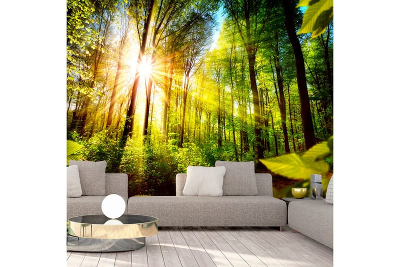 Fototapet Forest Hideout 300x210 - Artgeist sp. z o. o. - Innredning - Veggdekorasjon - Tapeter - Fototapeter