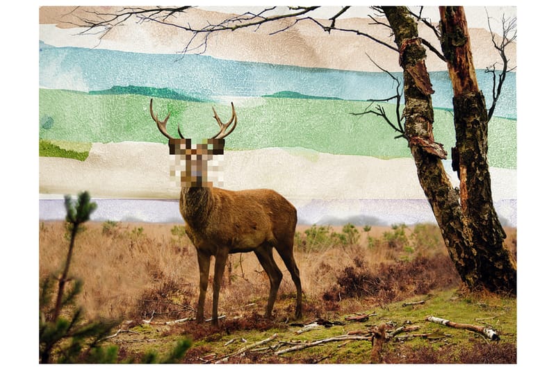 Fototapet Forest Refugee 200x154 - Artgeist sp. z o. o. - Innredning - Veggdekorasjon - Tapeter - Fototapeter