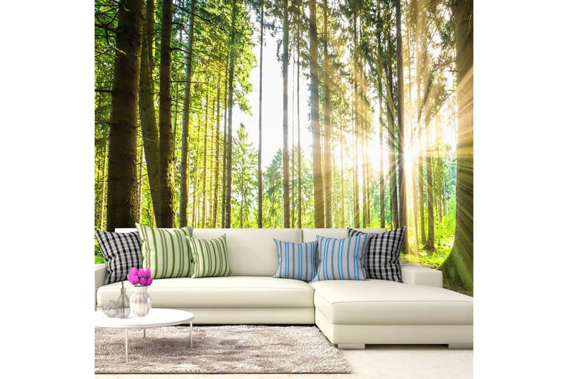 Fototapet Forest Tales 200x140, Artgeist sp. z o. o.