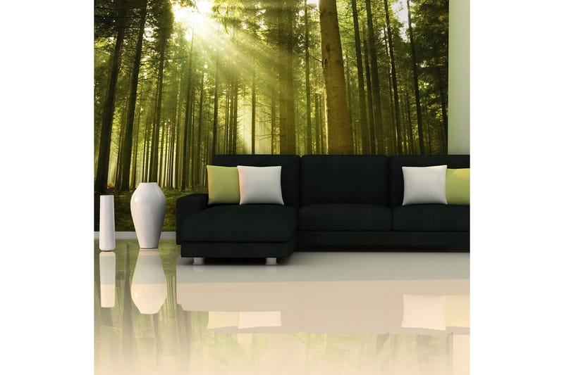 Fototapet Furuskog 450x270 - Artgeist sp. z o. o. - Innredning - Veggdekorasjon - Tapeter - Fototapeter