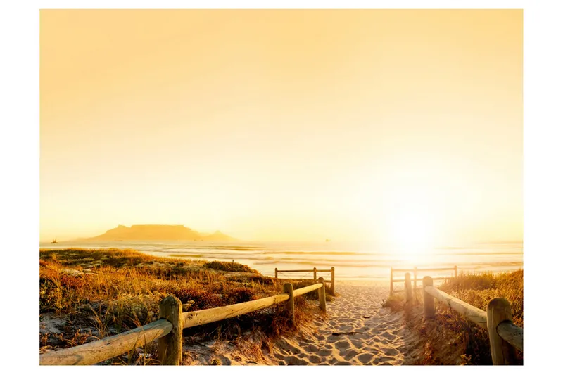 Fototapet Går Riktning Mot Solen 350x270, Artgeist sp. z o. o.