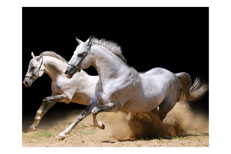 Fototapet Galopperende Hester På Sanden 400x309 - Artgeist sp. z o. o. - Innredning - Veggdekorasjon - Tapeter - Fototapeter