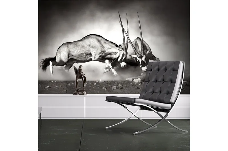 Fototapet Gemsbukk Kamp 350x270, Artgeist sp. z o. o.