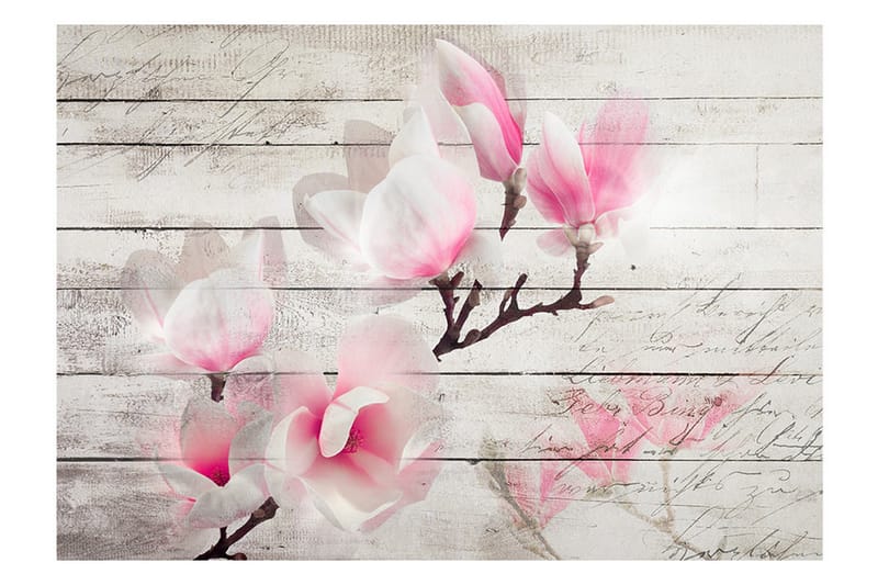 Fototapet Gentlness Of The Magnolia 100x70 - Artgeist sp. z o. o. - Innredning - Veggdekorasjon - Tapeter - Fototapeter
