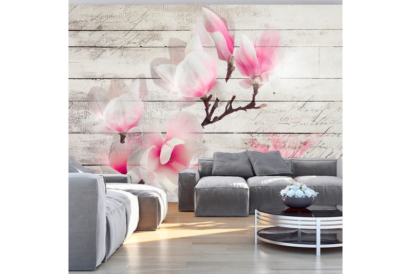 Fototapet Gentlness Of The Magnolia 200x140 - Artgeist sp. z o. o. - Innredning - Veggdekorasjon - Tapeter - Fototapeter