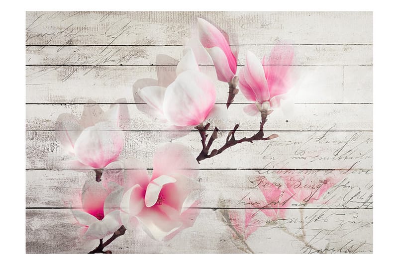 Fototapet Gentlness Of The Magnolia 200x140 - Artgeist sp. z o. o. - Innredning - Veggdekorasjon - Tapeter - Fototapeter