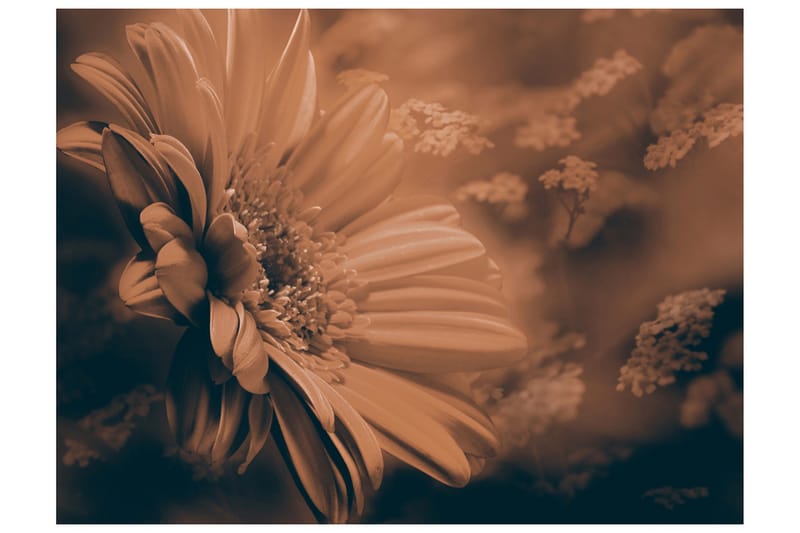 Fototapet Gerbera Bronse 400x309 - Artgeist sp. z o. o. - Innredning - Veggdekorasjon - Tapeter - Fototapeter