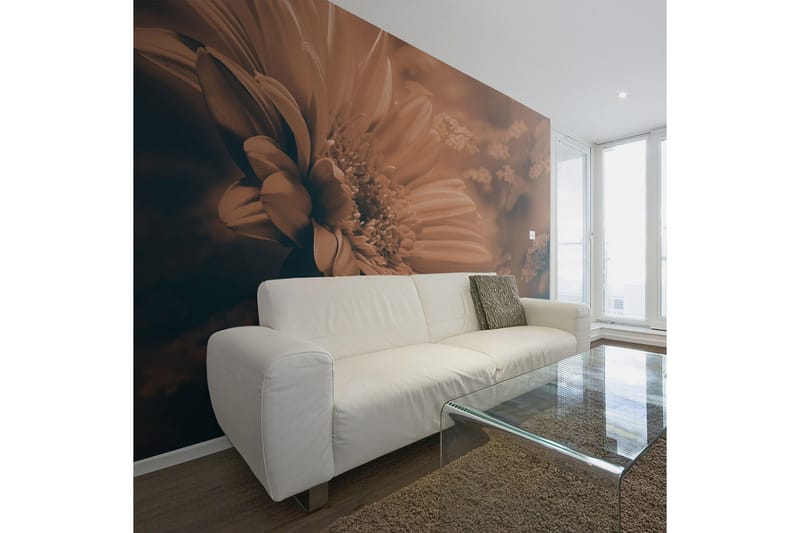 Fototapet Gerbera Bronze 200x154, Artgeist sp. z o. o.