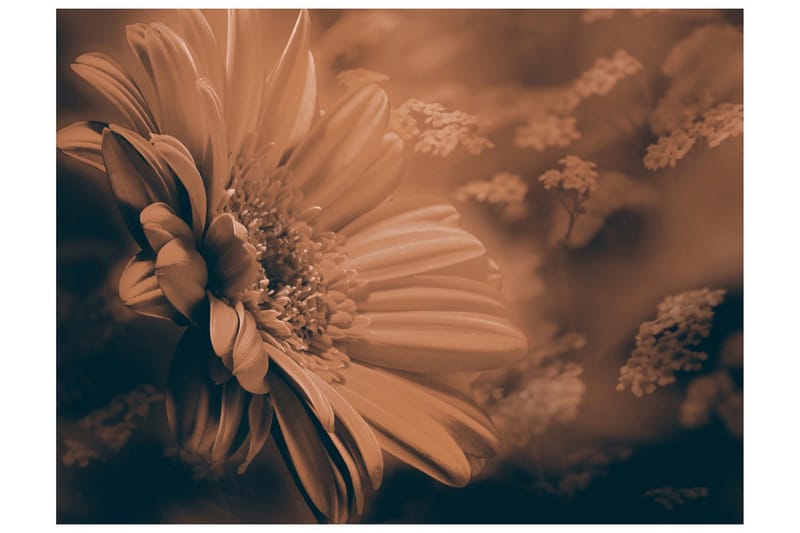 Fototapet Gerbera Bronze 200x154 - Artgeist sp. z o. o. - Innredning - Veggdekorasjon - Tapeter - Fototapeter