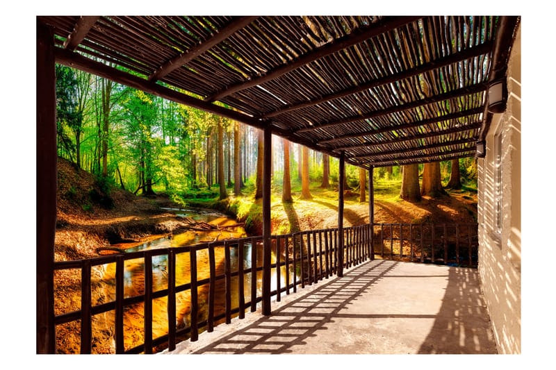 Fototapet Getting Back To Nature 250x175 - Artgeist sp. z o. o. - Innredning - Veggdekorasjon - Tapeter - Fototapeter