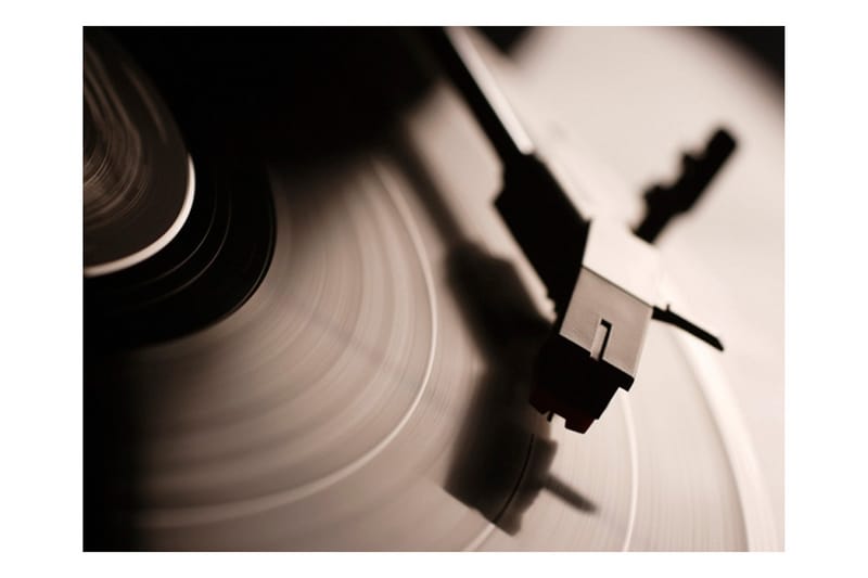 Fototapet Gramophone And Vinyl Record 300x231 - Artgeist sp. z o. o. - Innredning - Veggdekorasjon - Tapeter - Fototapeter