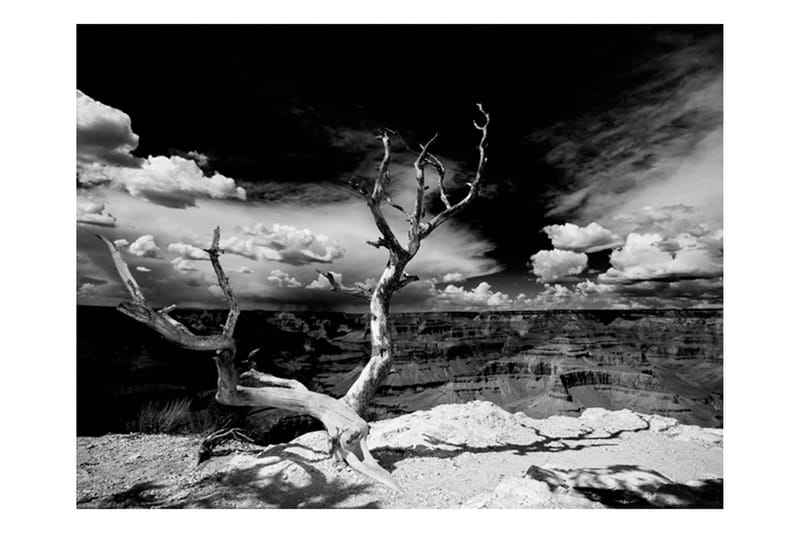 Fototapet Grand Canyon Tree 200x154 - Artgeist sp. z o. o. - Innredning - Veggdekorasjon - Tapeter - Fototapeter