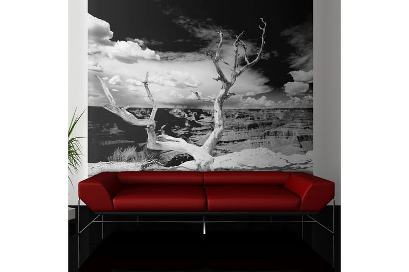 Fototapet Grand Canyon Tree 200x154 - Artgeist sp. z o. o. - Innredning - Veggdekorasjon - Tapeter - Fototapeter