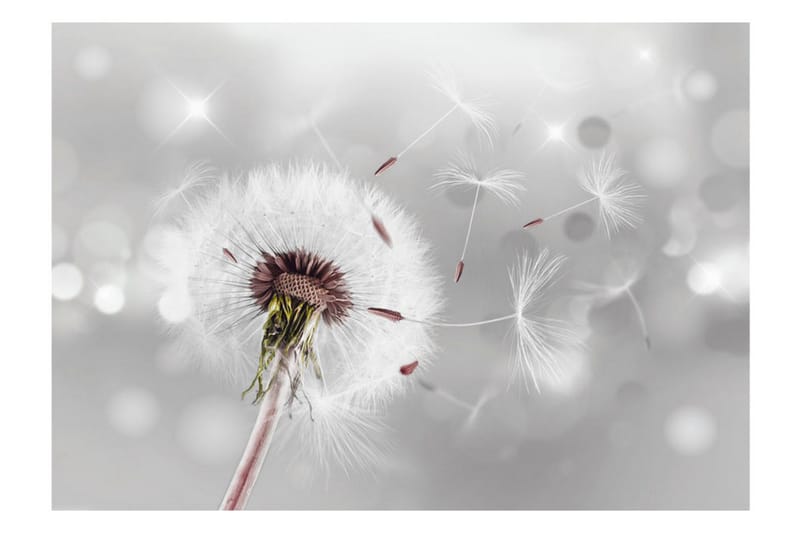 Fototapet Grasping The Invisible 250x175 - Artgeist sp. z o. o. - Innredning - Veggdekorasjon - Tapeter - Fototapeter