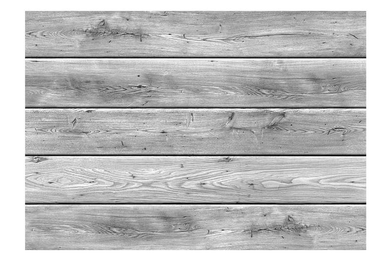 Fototapet Gray Kingdom 200x140 - Finnes i flere størrelser - Innredning - Veggdekorasjon - Tapeter - Fototapeter