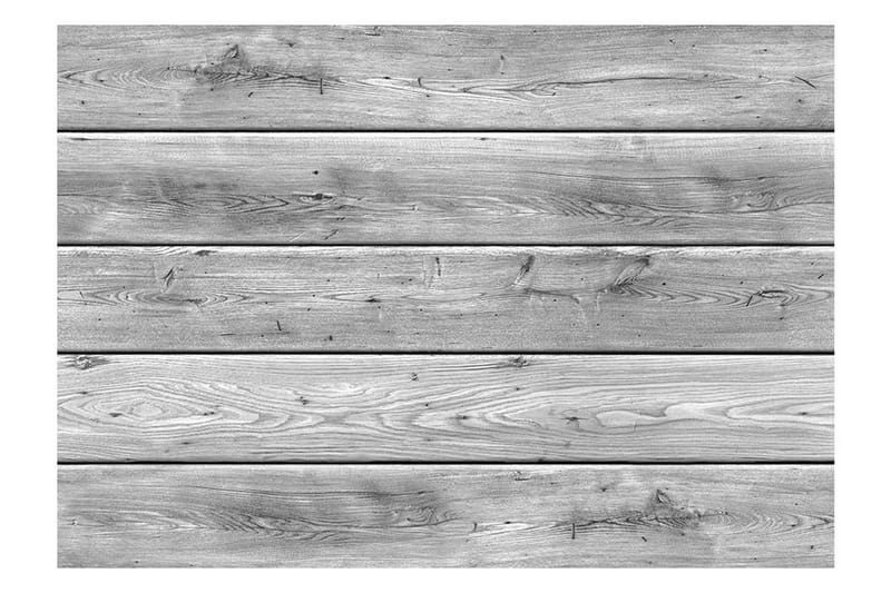 Fototapet Gray Kingdom 250x175 - Innredning - Veggdekorasjon - Tapeter - Fototapeter