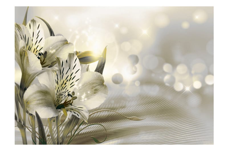 Fototapet Green Daybreak 400x280 - Artgeist sp. z o. o. - Innredning - Veggdekorasjon - Tapeter - Fototapeter